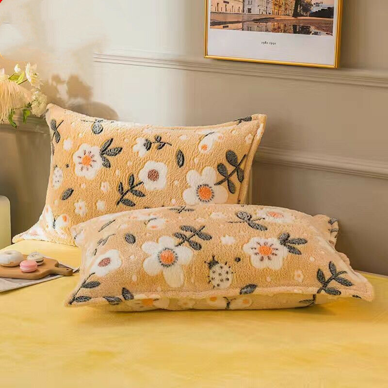 2020 New Polar Fleece Coral Pillow Case A Pair Of Winter Thickened Pillow Case Single Flannel Pillow Case Adults