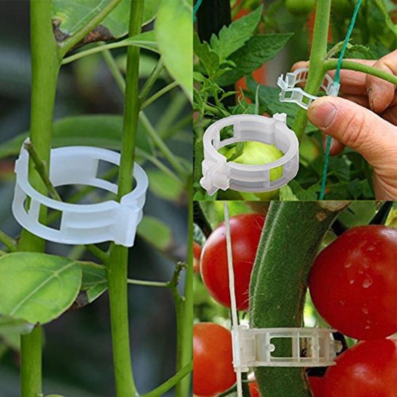 Clips de plástico reutilizables para soporte de plantas, pinzas de 25mm para colgar plantas, vid, jardín, invernadero, tomates, 100 piezas