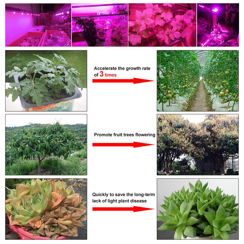 Lâmpada led para cultivo de plantas, 220v, 110v, espectro completo, 50w, 30w, 20w, fitolampy, lâmpada para o crescimento das plantas, caixa de crescimento, chip