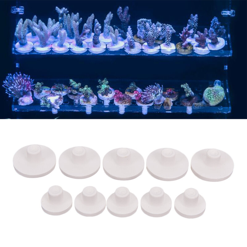 Support de corail en acrylique pour Aquarium, 5 pièces, Base, fournitures pour Aquarium