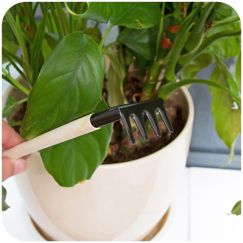 3 unids/set Mini pala Harrow maceta herramientas de plantas en macetas de mango de madera suelos palas herramientas de jardinería