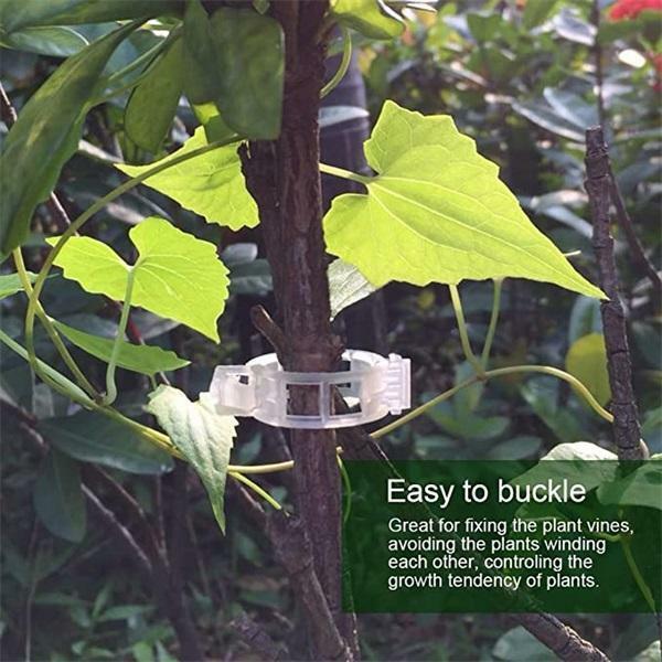 Gesicherter-Clips de plástico para plantas, herramienta de fijación de injerto, protección reutilizable, para Su instalación en jardinería