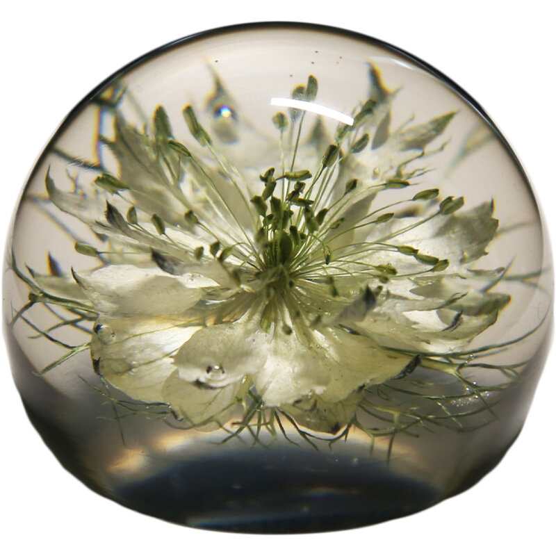 Home Decor Dandelion Plant Specimen Paperweight Display Room Decoration Accessories Creative Of Immortalia Flower Holiday Gifts