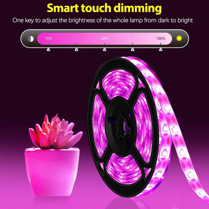 Fito a LED a spettro completo 2835 SMD USB 5V coltiva la striscia di luce piante fiori LED serra Cultivo luce idroponica