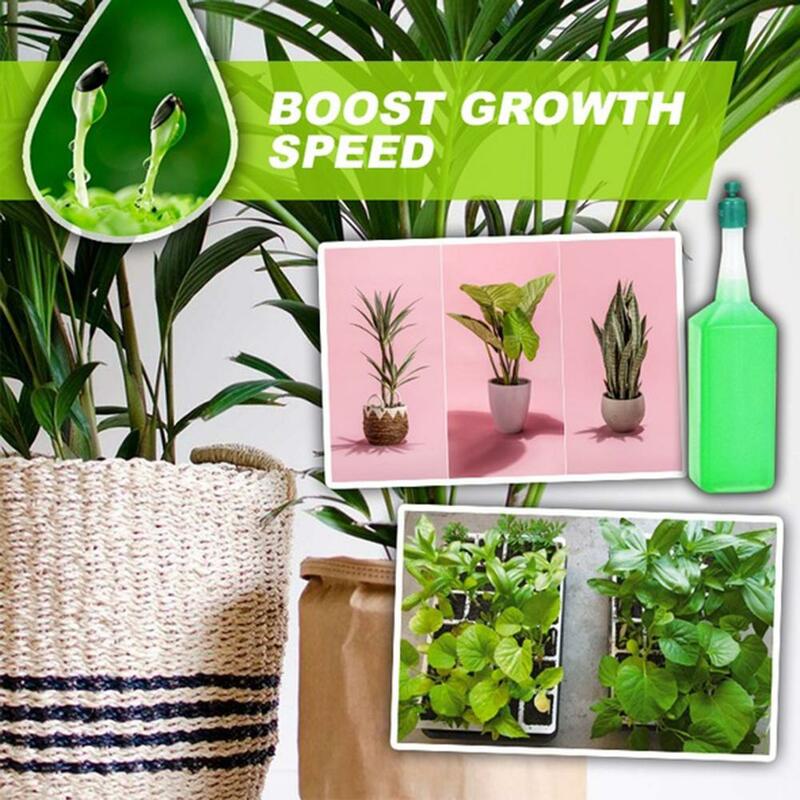 Fertilizante de solución nutritiva para plantas hidropónicas de 38ml, fertilizante de flores de bambú en maceta, fertilizante de semillas Foliar concentrado verde