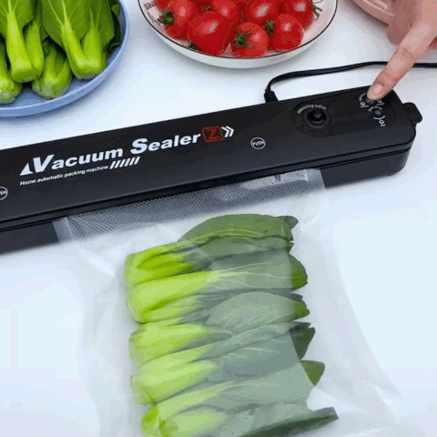 Beste Vacuüm Sealer Machine 220V/110V Automatische Droog En Vochtig Voedsel Modi Degasser Vacuüm Verpakker Met 10 stuks Verpakking Zakken