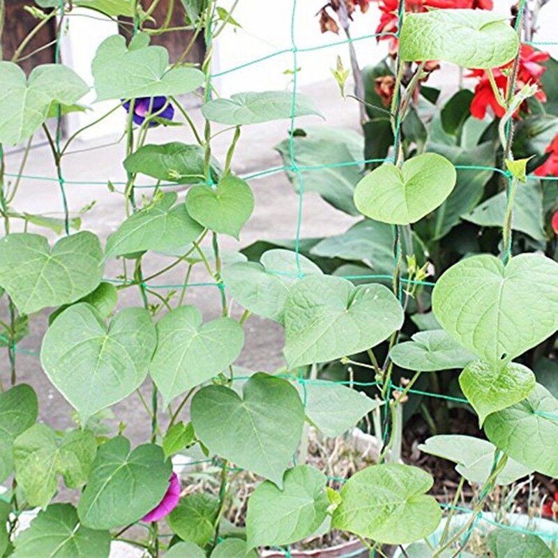 1.8x3.6m planta de jardinagem rastejando net alta capacidade de transporte pepino abóbora e tomate videira plantio quadro