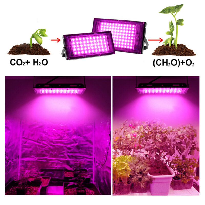 Luz LED de espectro completo para cultivo, lámpara Phyto de 220V, 50W, 100W, iluminación hidropónica de invernadero para crecimiento de plantas, Fitolamp con enchufe de la UE para siembra