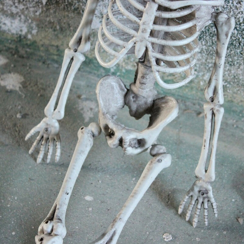 Halloween Prop Leben Schädel Hand Skeleton Volle Größe sitzen und stehen Menschlichen Modell Dekoration Halloween geschenk für ihre freunde W813