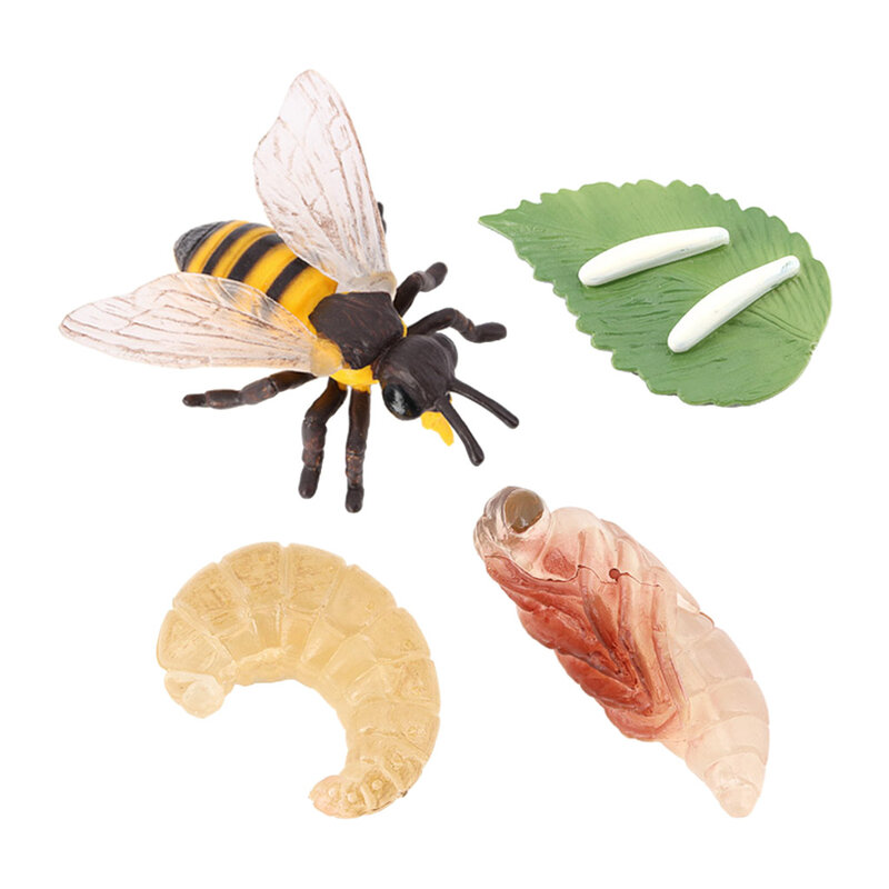 Пластик насекомое цикл роста дошкольного игрушки для знакомства с биологией ролевых игр Игрушки