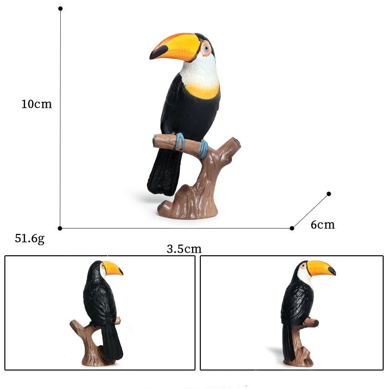 นกสัตว์ Static จำลอง Toucan สัตว์ของเล่นรุ่น Action การเรียนรู้วิทยาศาสตร์การศึกษาของขวัญนก/ชุด