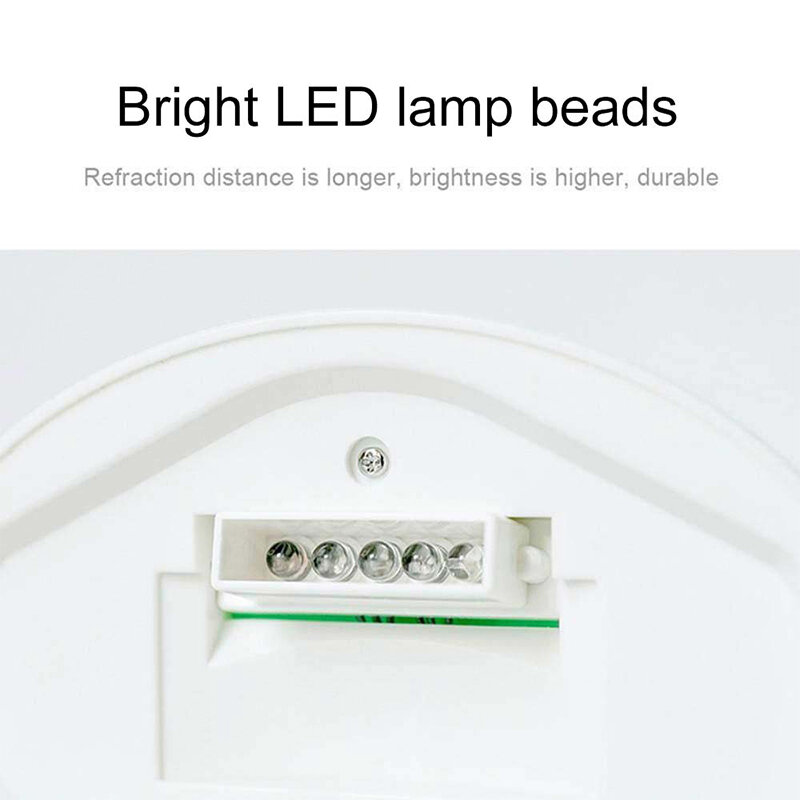 쉘 다채로운 프로젝션 램프 LED 참신 레인보우 스타 나이트 라이트 가리비 분위기 램프 레인보우 핑크/그린