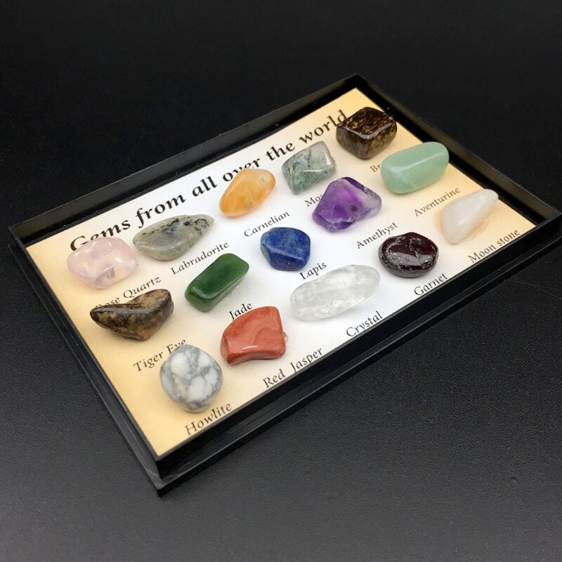Octaedro lucido, pietre naturali, scatola di raccolta di educazione geologica minerale-15 pezzi di Kit di gemme geologia per bambini Dropship
