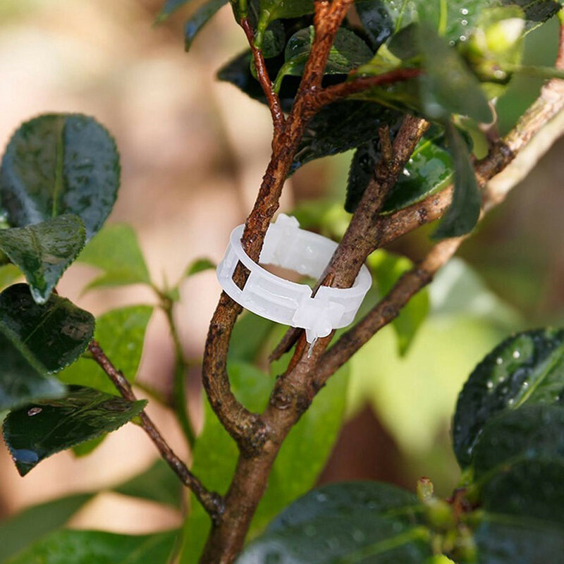 150pcs supporti per clip per piante in plastica collega la protezione riutilizzabile innesto strumento di fissaggio forniture per giardinaggio per pomodoro vegetale