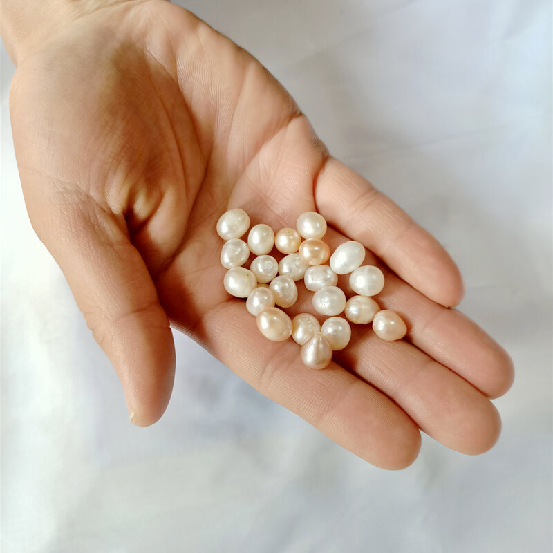 Ostias envueltas individualmente con perlas grandes, regalos de perlas naturales de agua dulce, borlas de diferentes cantidad de perlas