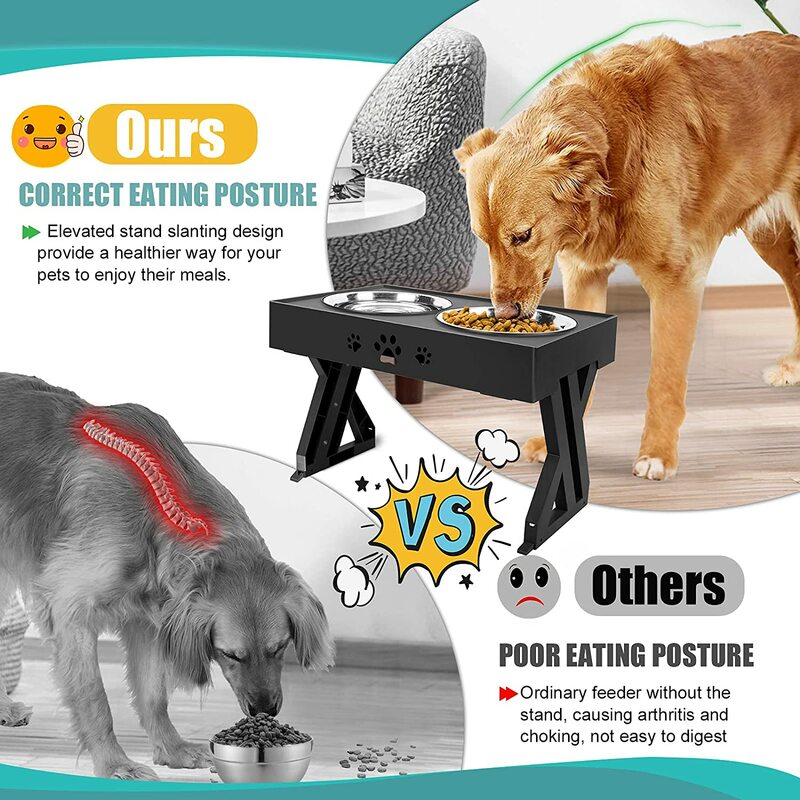 Mangkuk Anti-selip Ganda Anjing dengan Tinggi Yang Dapat Disesuaikan Mangkuk Hidangan Makanan Kucing Peliharaan Tempat Makan Anjing Kecil Menengah Besar Mangkuk Bisa Dilepas
