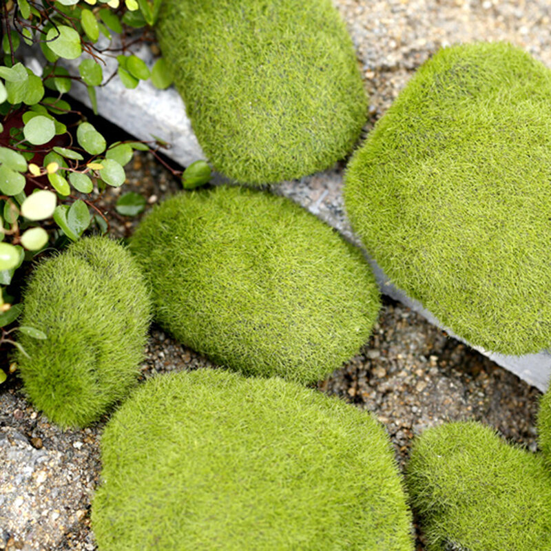 8 pçs artificial fresco musgo bola de fadas jardim miniaturas decoração diy mini planta verde vaso bonsai artesanato ornamento suprimentos p2