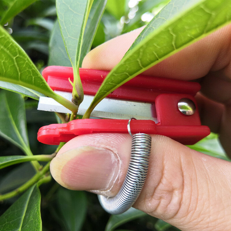 Mini Tuin Snoeischaar Fruit Plukken Apparaat Multifunctionele Duim Mes Veilig Fruit Blade Tool Snijmes Ringen Finger Protector
