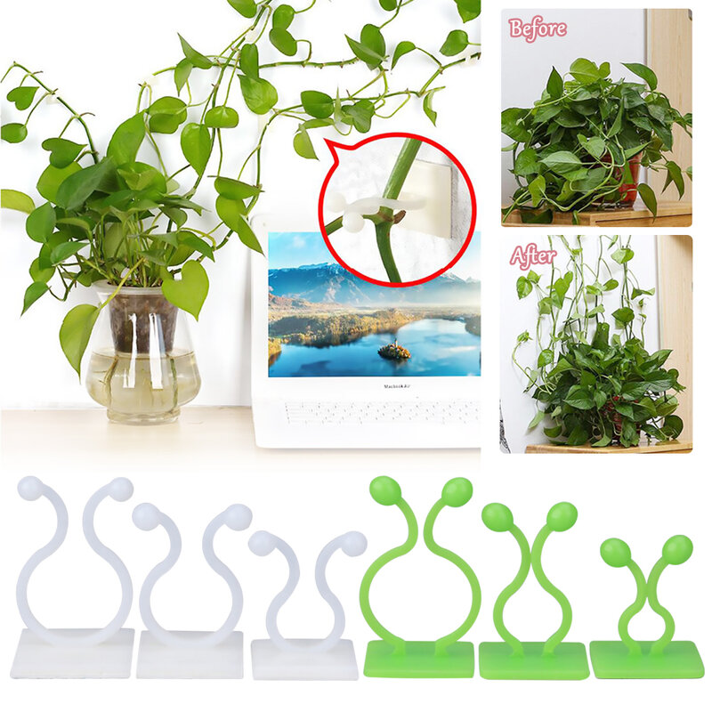 20pcs Plant Climbing Wall Clip Invisible Wall Vines Fixture Wall Sticky Hook Holder Plant Cages Plant Supports Clip Vine Clip