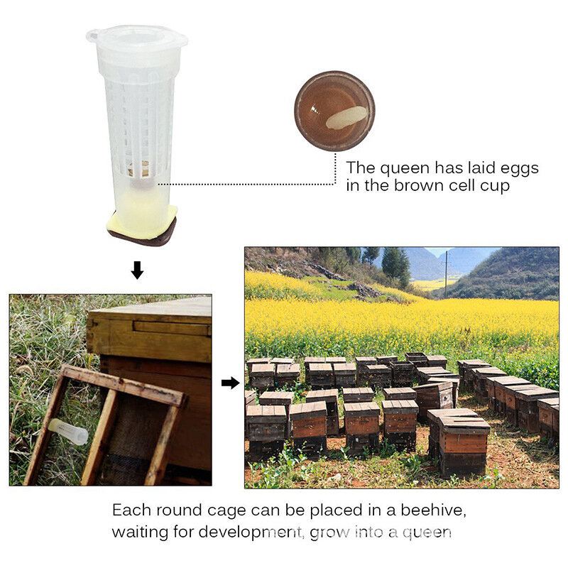 Capa removedora de gaiola plástica, proteção de células de plástico para abelhas, ferramenta abelha, equipamento de proteção