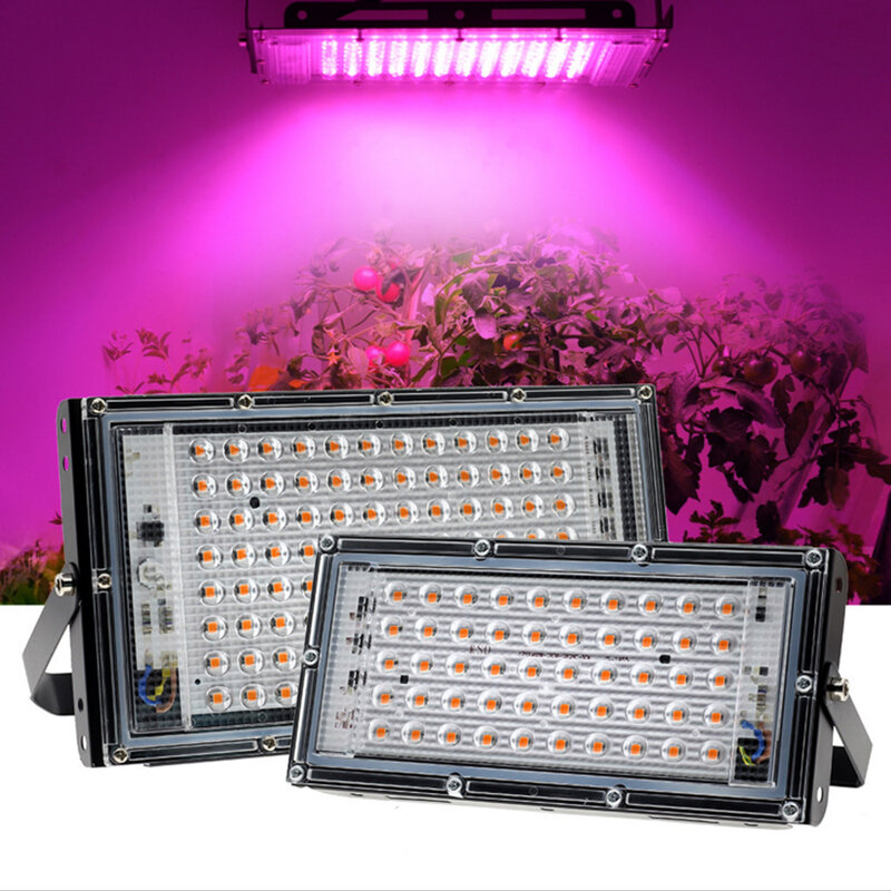 220V LED Tumbuh 50W 100W Full Spectrum Phyto Lampu Rumah Kaca Hidroponik Pertumbuhan Tanaman Lampu Uni Eropa Plug fitolamp untuk Pembibitan