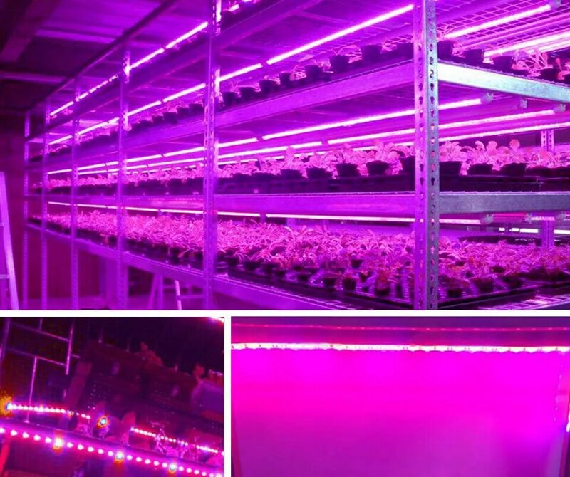 Luz LED de espectro completo para cultivo, lámpara Led USB de 0,5 m, 1m, 2m, 3m, 2835 SMD, DC5V, Phyto Tape para semillas de plantas