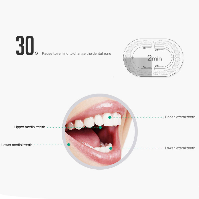 فرشاة أسنان كهربائية جديدة موديل 2021 ذات شعيرات لينة تهتز للاستخدام المنزلي فرشاة أسنان كهربائية قابلة للشحن للكبار مزودة بمنفذ Usb