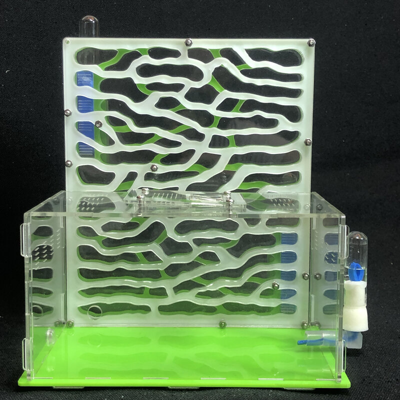 NEW TY DIY Large Acrylic Ant Farm with Feeding Area Big Ants House Ant Nest Villa Insect Pet Anthill Workshop 6 Layers
