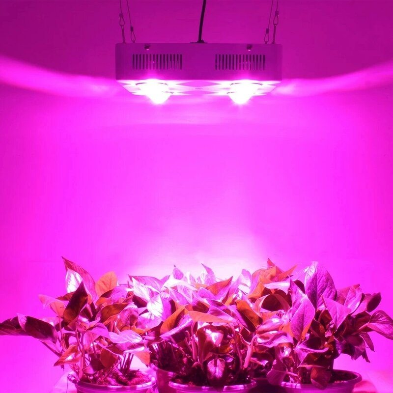 COB led는 실내 수경 온실 식물 성장 점화를 위해 가벼운 가득 차있는 스펙트럼 300W 600W COB 높은 빛난 효율성을 성장한다.