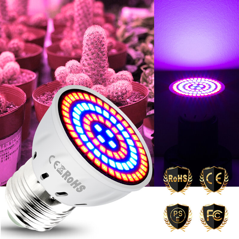 Phytolampe E14 E27 – ampoule de croissance LED à spectre complet, lampe UV GU10 MR16, chambre de culture hydroponique intérieure, tente, boîte de culture de graines de fleurs B22