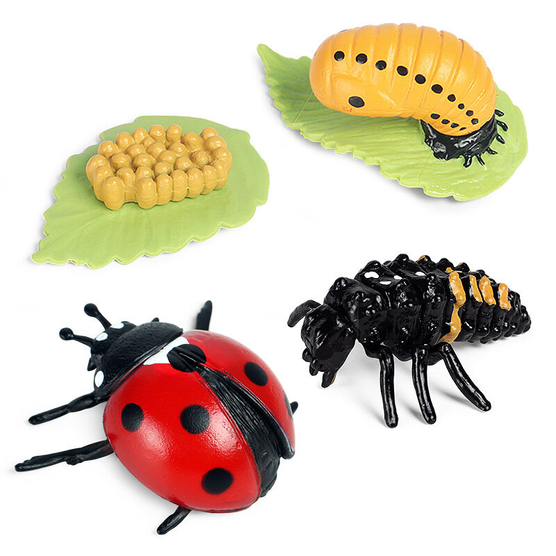 Children's Simulation Animal Model Bee Turtle Spider Frog Growth Cycle PVC Movable Doll Kids Collection Toys Gifts