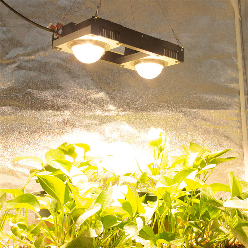 Lampe horticole de croissance LED COB, Citizen CREE CXB3590, 1212/200W, éclairage à spectre complet pour tente/chambre de culture hydroponique intérieure de plantes