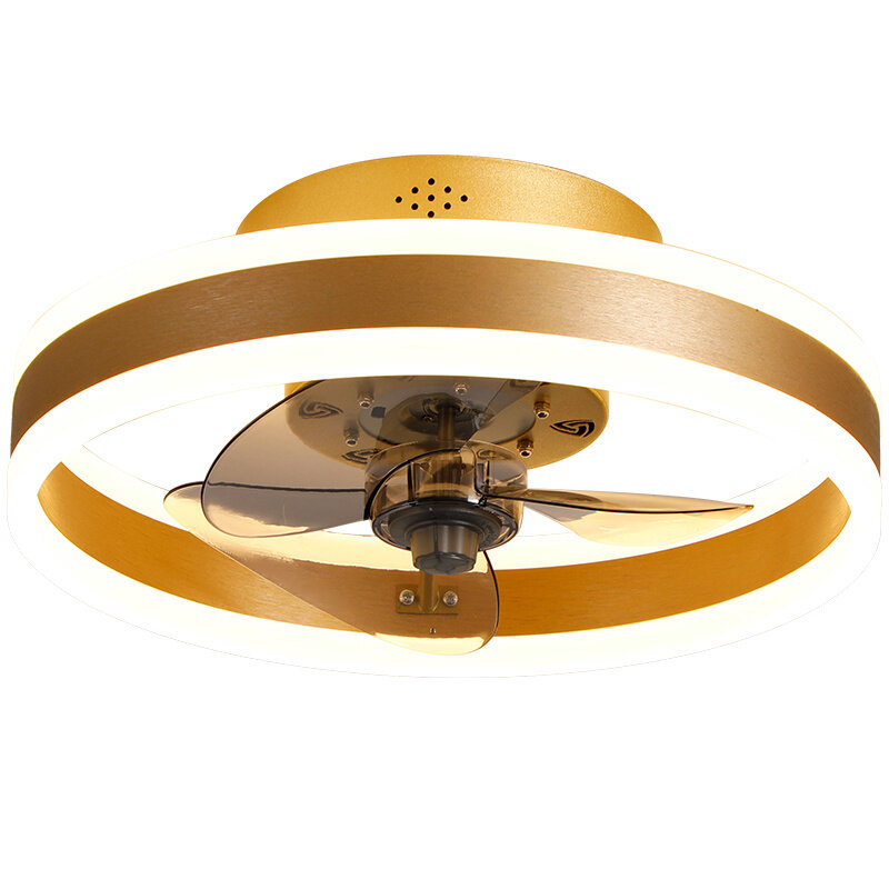 Simple Ceiling Fan Lamp with Remote Control Bedroom Dining Room Living Room Home Ceiling Lamp with Electric Fan Light Fixtures