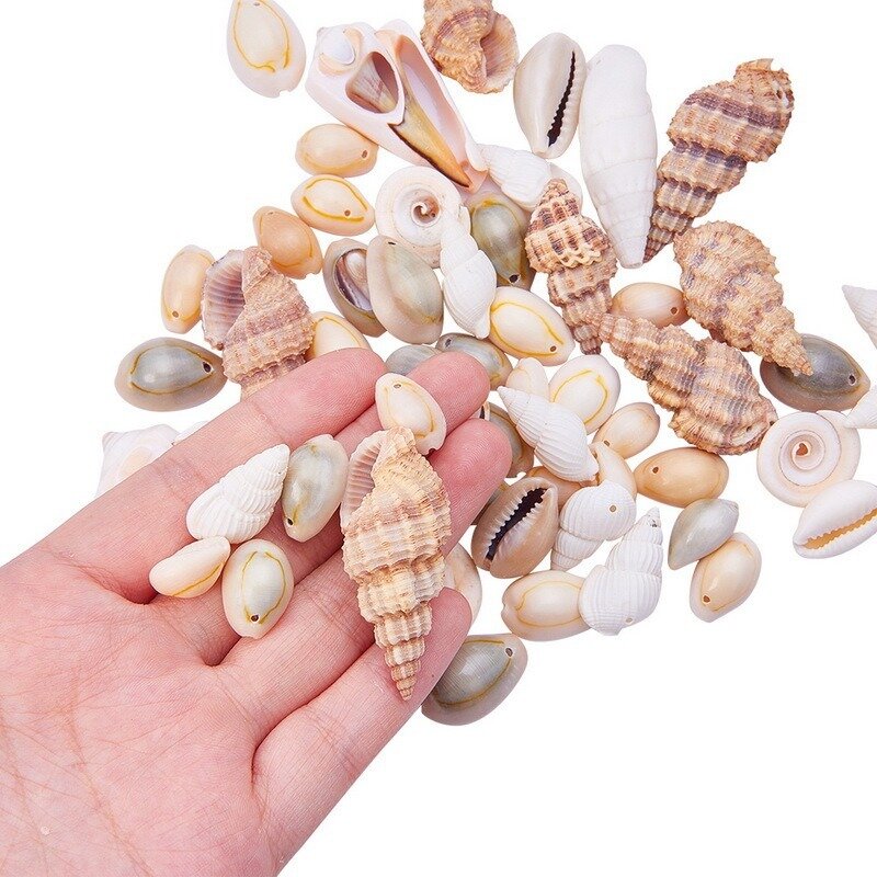 Natural mixed shell conch boxed diy jewelry accessories fish tank landscape decoration candle decoration