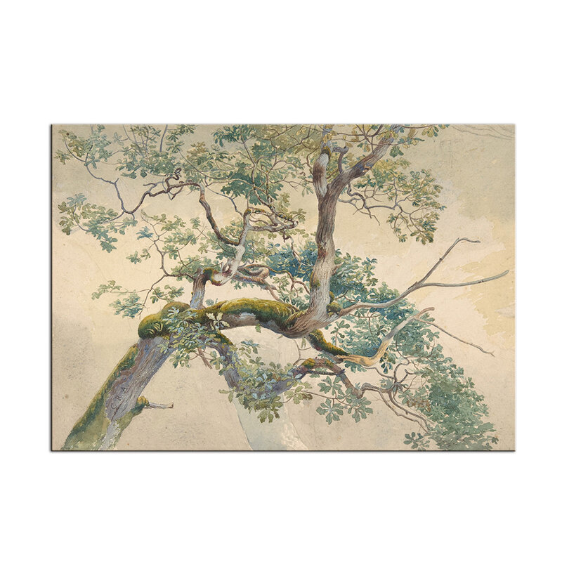 Impresión artística de árbol antiguo, póster de pintura de acuarela de ramas de árbol Vintage, arte de pared de naturaleza, Impresión de lienzo Gnarled Mossy Oak Woodland