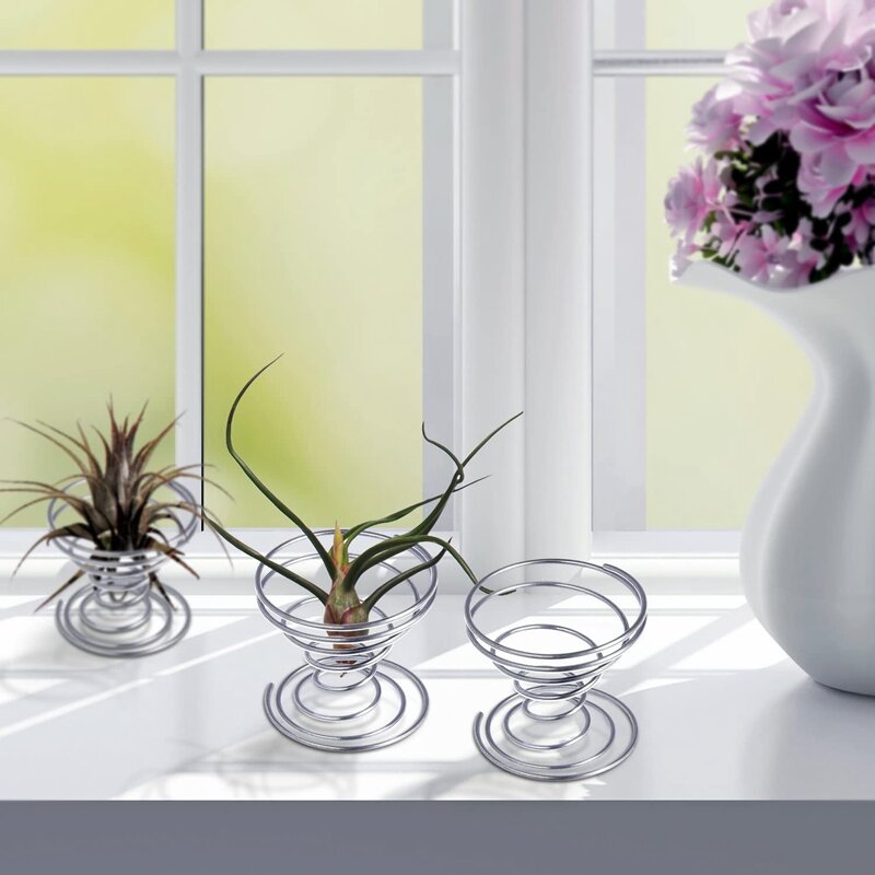 6 Pieces Air Plant Stand Airplant Container Tillandsia Holder Stainless Steel Plant Display Racks Air Pineapple Base