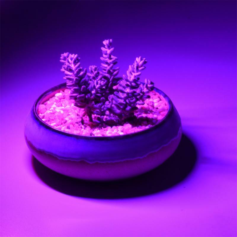 Grow Lamp Led Usb Volledige Spectrum Dc 5V 2.5W Geschikt Home Office Indoor Jonge Planten Imiteren Zonlicht Ir uv Groeiende Phyto Licht