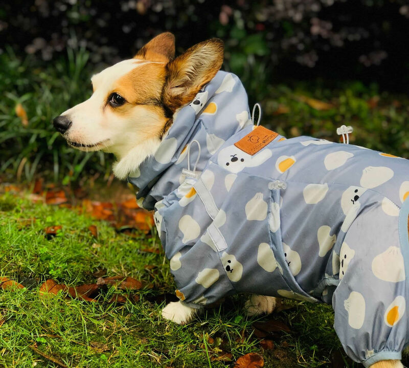 Welsh Corgi Dog Raincoat Jumpsuit Pet Clothing Waterproof Dog Clothes Golden Retriever Rain Jacket Costume Pet Outfit Rainwear