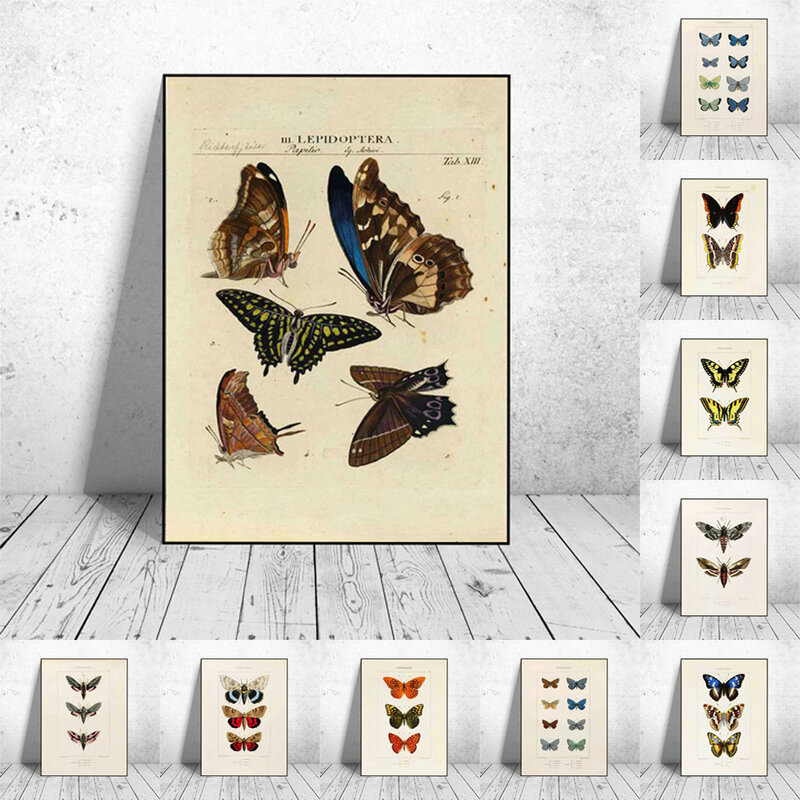 Skandynawski RETRO płótno artystyczne malarstwo motyl owad ewolucja plakat salon na ścianę w korytarzu obraz dekoracyjny do domu mural