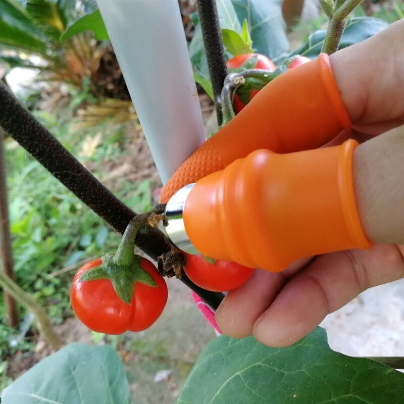 Palec żniwa nóż ochronny palec gumowe etui kciuk Cutter Separator urządzenie do zbierania warzyw ogrodnictwo w domu narzędzia