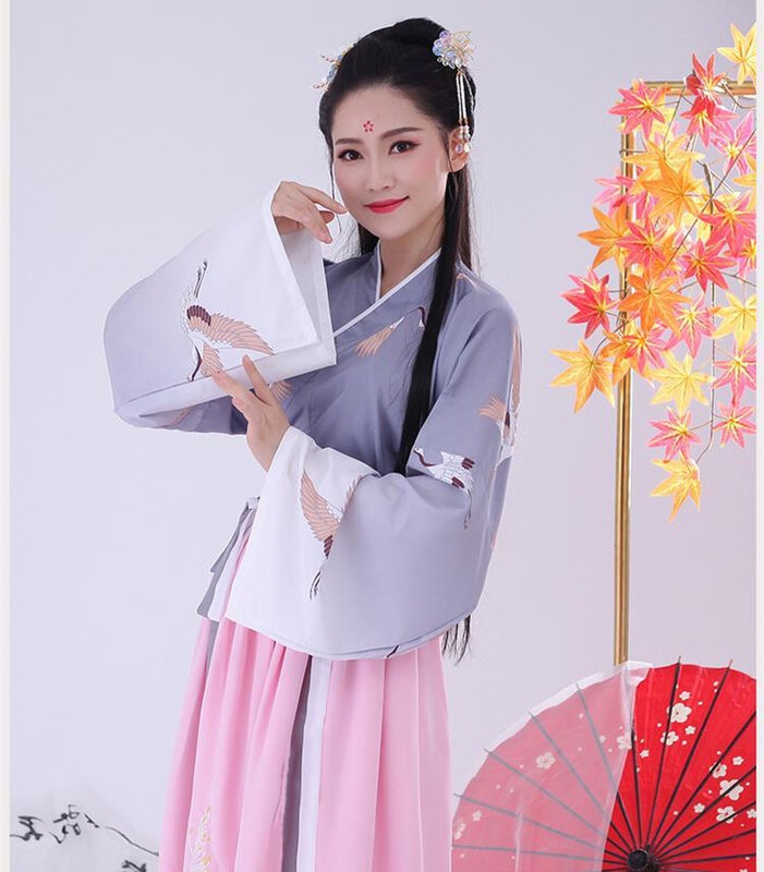 Hanfu Dress Chinese Cosplay Hanfu Women Chinese Dress Tang Suit Costume Ancient Fairy Princess Costume Traditional Hanfu Dress