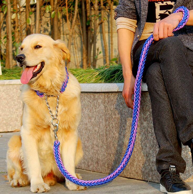 Cuerda de doble hebra para perros grandes, correa de Metal P, hebilla de cadena de Color nacional, conjunto de Collar de cuerda de tracción para perros grandes, 1,2 m de longitud