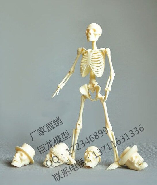 Modèle de squelette à assembler, 20cm, jouets éducatifs, modèle de squelette humain, emballage de pièces de rechange, livraison gratuite