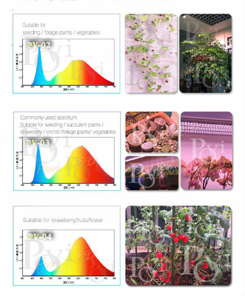 POVI Full Spectrum Cresce A Luz LED E27 PAR38 Jardim Lâmpadas AC85 ~ 265 V LED Hidroponia Lâmpadas Para Flores e plantas