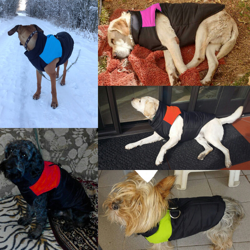 Ropa de invierno para mascotas, chaleco para cachorros, chaqueta para Chihuahua, abrigo cálido para perros pequeños, medianos y grandes, 4 colores, S-5XL