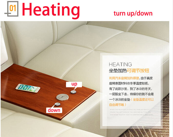 Canapé chauffant en cuir véritable, pour le salon, canapé chauffant, réfrigérateur froid et chaud, USB U