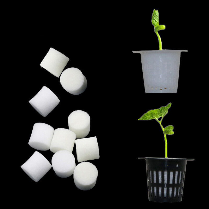 Yg Tak Dinodai Hidroponik Sayuran Nursery Pot Pembibitan Spons Biji Bunga Budidaya Soilless Sistem Budidaya Benih Nampan