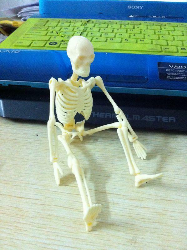 free shipping Human body 20cm assembling skeleton model educational toys model human skeleton model spare parts packaging