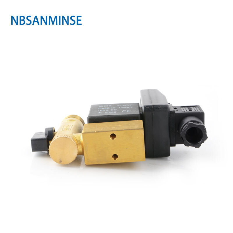 صمام التصريف الإلكتروني NBSANMINSE SR - A-15G 1/2 1.6Mpa صمام العادم تجفيف المياه صمام المياه DC24V AC220V جودة عالية
