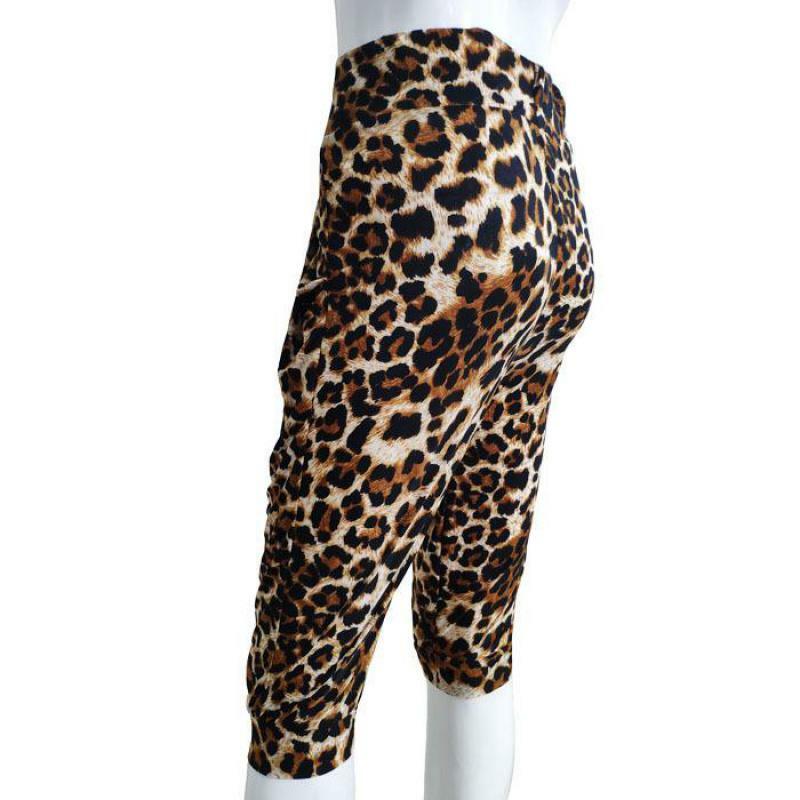 ผู้หญิงกางเกงกางเกง Casual Athleisure เสือดาวพิมพ์สูงเอวกางเกงขายาว Modern Lady Harem กางเกง